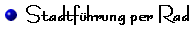 Stadtf&uuml;hrung per Rad